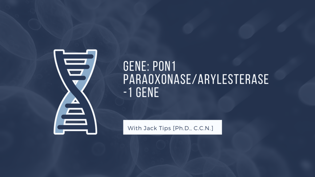 Clinically Actionable Genes: PON1 Gene